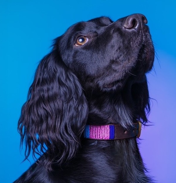 Treya looking beautiful